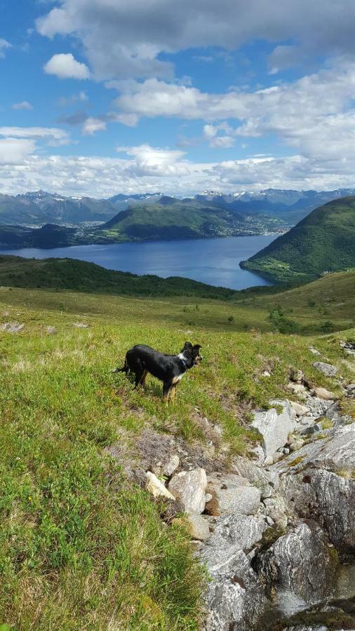 Tiny House With Fjordview! Villa Lauvstad Buitenkant foto